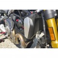CNC Racing Radiator Guard for Ducati Monster 821/1200/S, Supersport /S, and Hypermotard 950 CNC Racing Radiator Guard for Ducati Monster 821/1200/S, Supersport /S, and Hypermotard 950